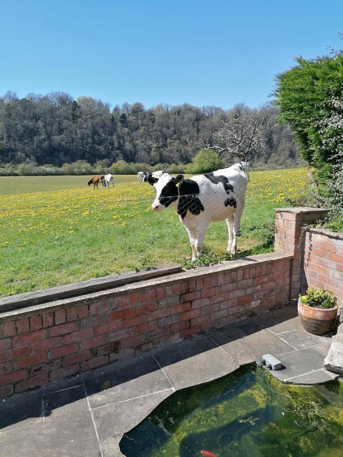 シェプストウRiversideアパートメント エクステリア 写真